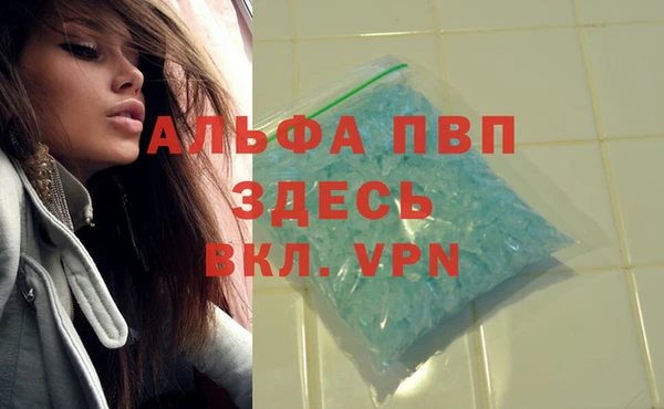 дживик Богданович