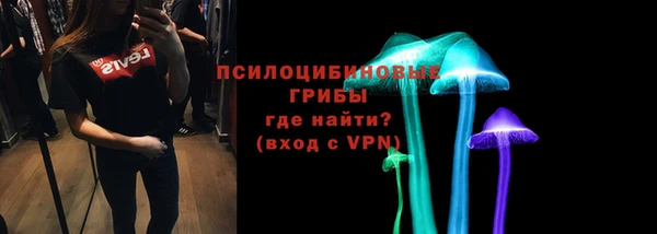 дурь Богородск