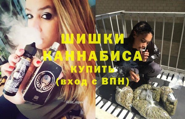дживик Богданович