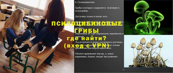 дживик Богданович